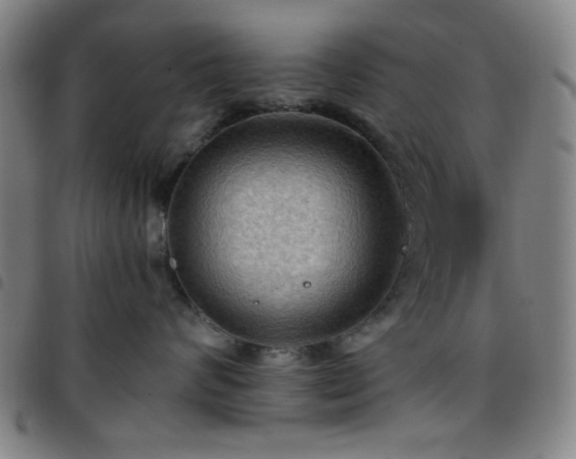 X0000097660624200803071533