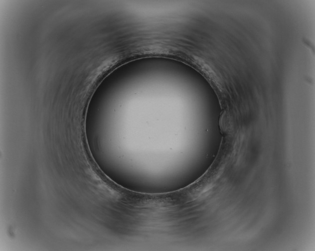 X0000097660625200803071533