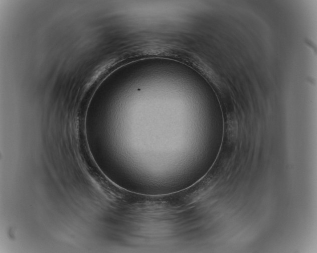 X0000097660626200803071533