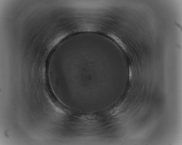 X0000097660627200803071533