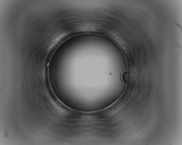 X0000097660629200803071533