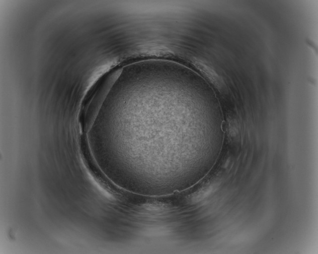 X0000097660630200803071533