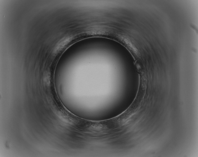 X0000097660631200803071533