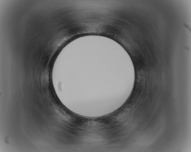 X0000097660632200803071533