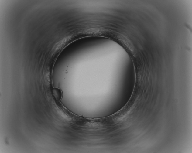 X0000097660633200803071533
