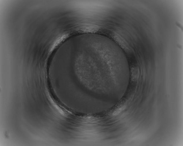X0000097660634200803071533