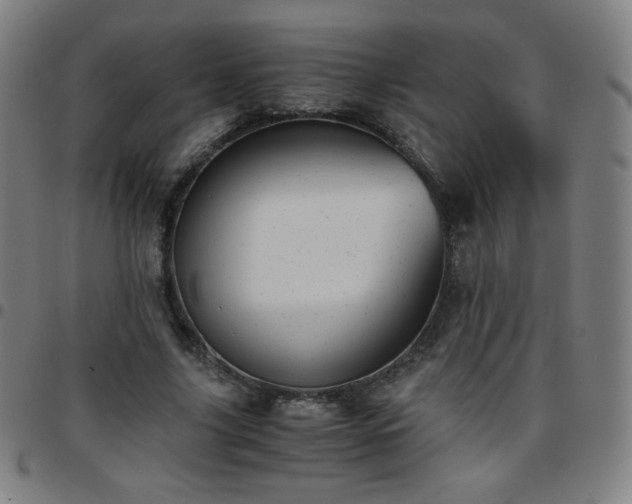 X0000097660635200803071533