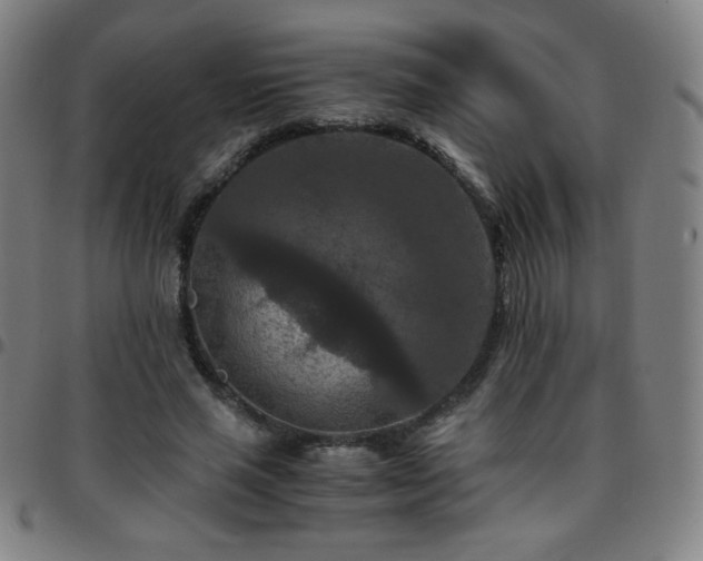 X0000097660637200803071533