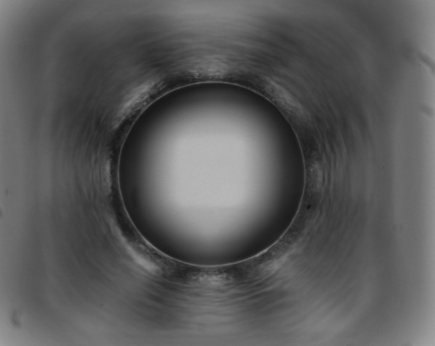 X0000097660638200803071533