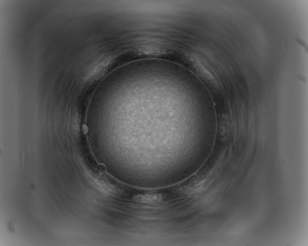 X0000097660639200803071533