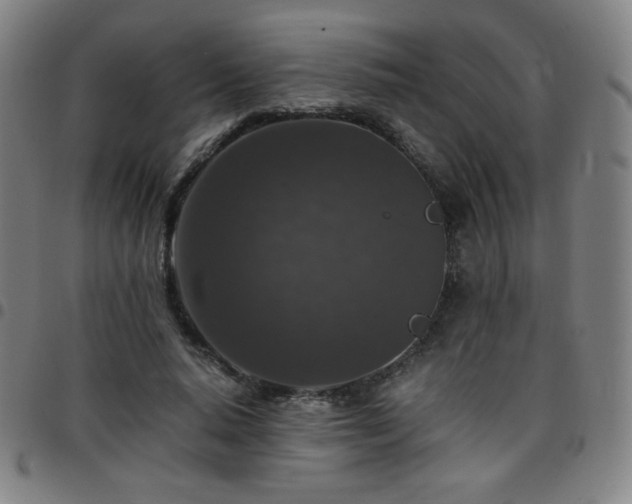 X0000097660640200803071533
