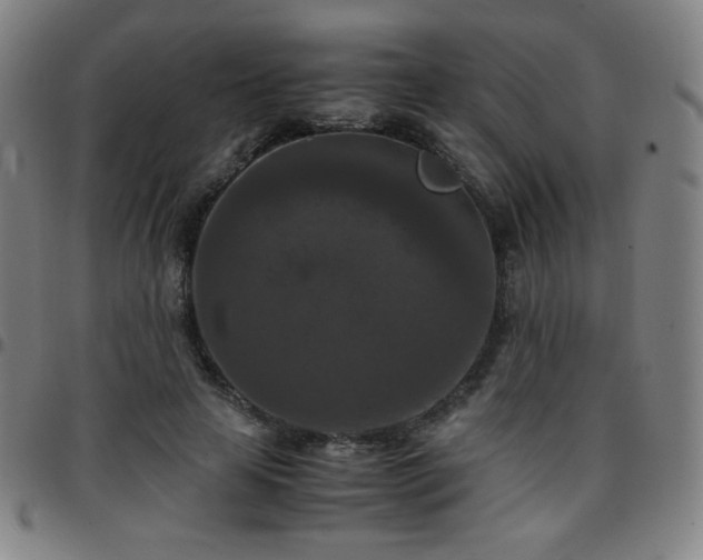 X0000097660641200803071533