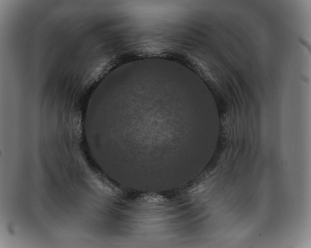 X0000097660642200803071533