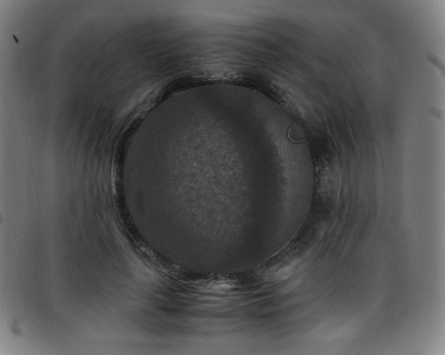 X0000097660643200803071533