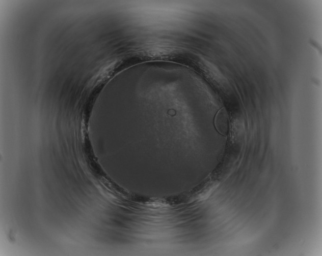 X0000097660644200803071533