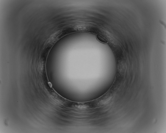 X0000097660645200803071533