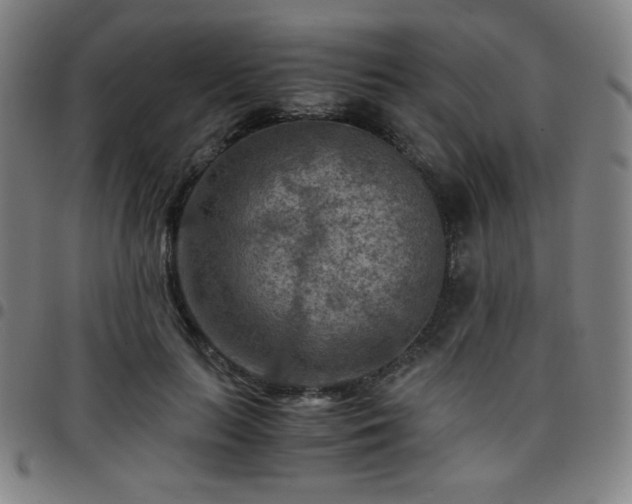 X0000097660647200803071533