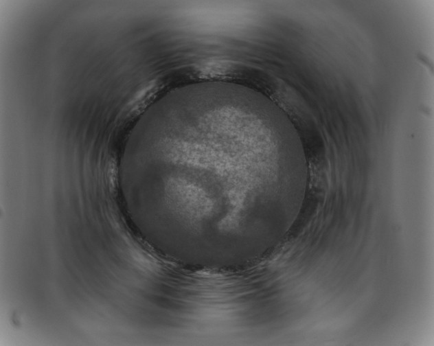 X0000097660648200803071533