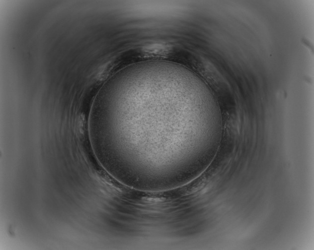X0000097660649200803071533