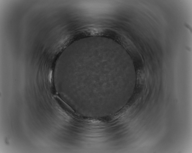X0000097660650200803071533