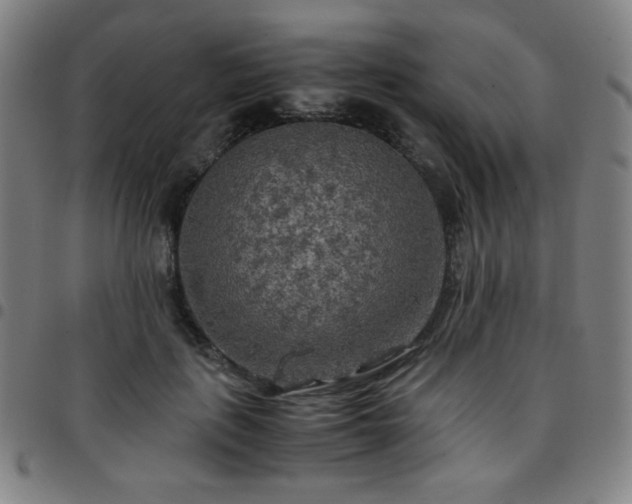 X0000097660651200803071533
