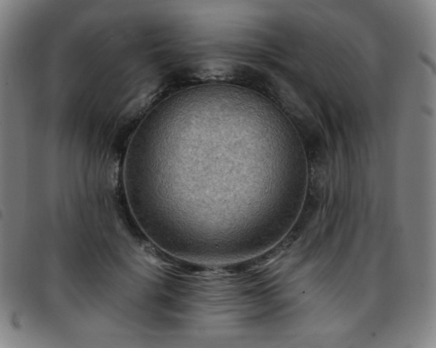 X0000097660652200803071533