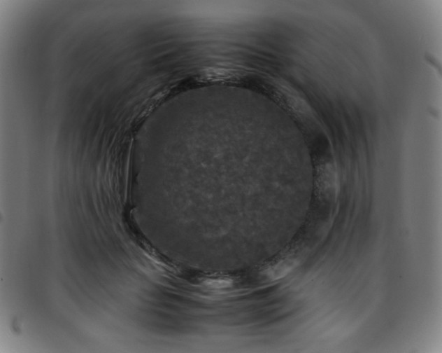 X0000097660653200803071533