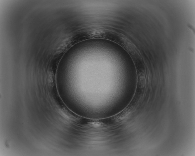 X0000097660654200803071533