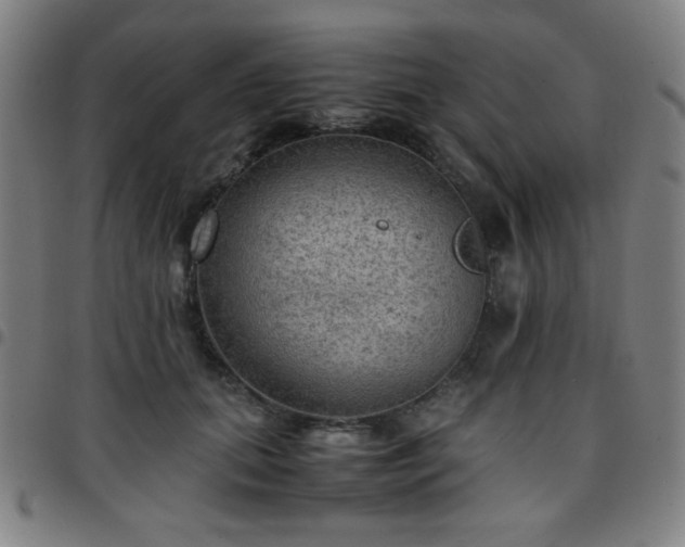 X0000097660655200803071533