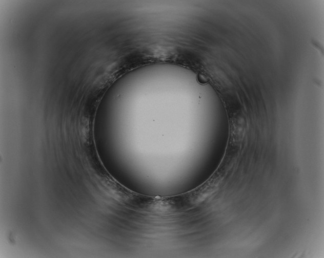 X0000097660656200803071533