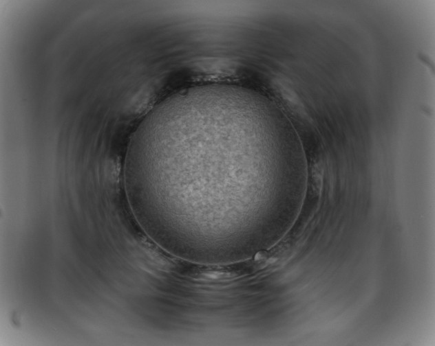 X0000097660657200803071533
