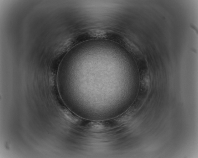 X0000097660658200803071533