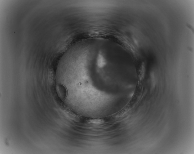 X0000097660659200803071533