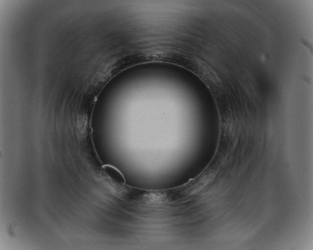 X0000097660660200803071533