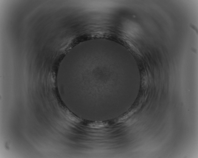 X0000097660661200803071533