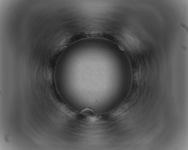 X0000097660662200803071533