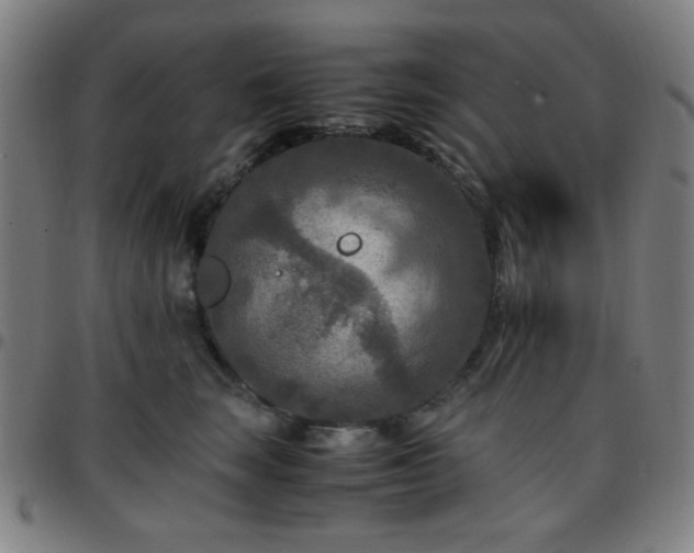 X0000097660663200803071533