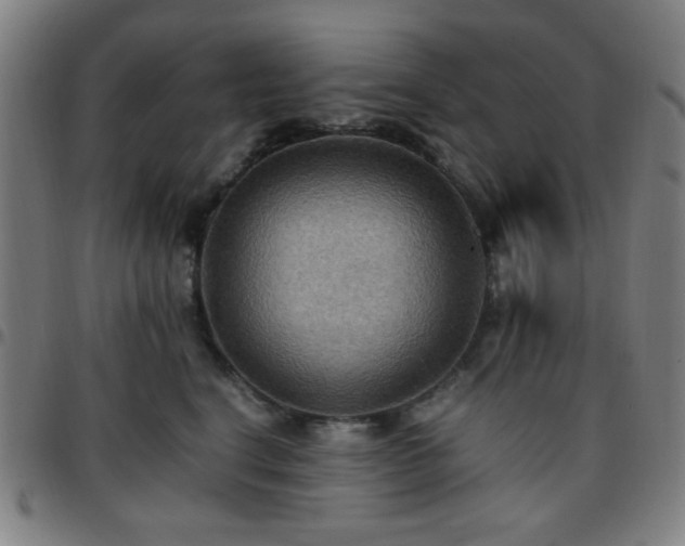 X0000097660664200803071533