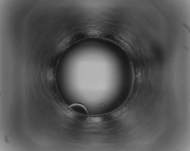 X0000097660665200803071533