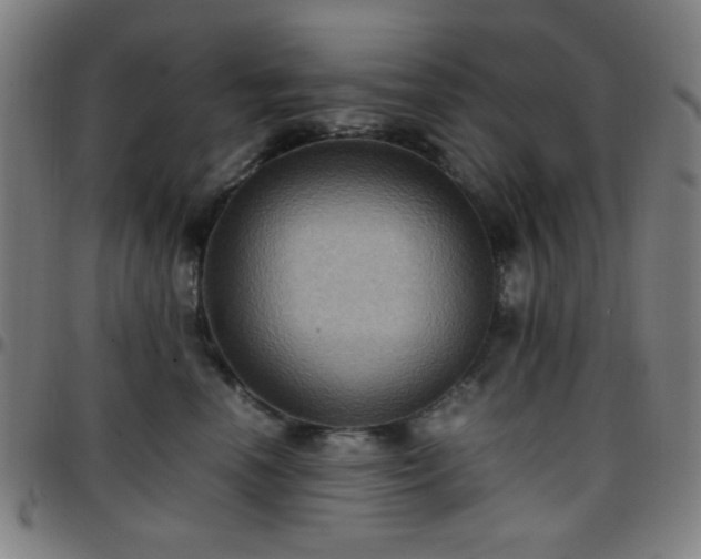 X0000097660666200803071533
