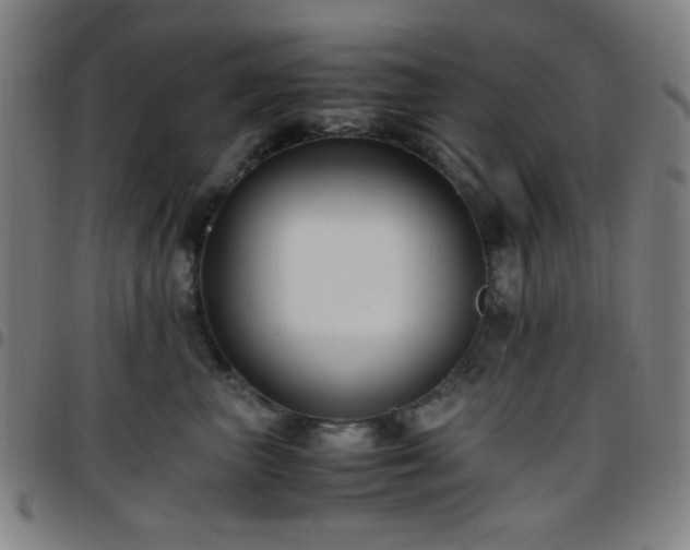 X0000097660667200803071533