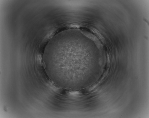 X0000097660669200803071533