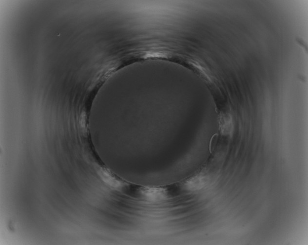 X0000097660670200803071533