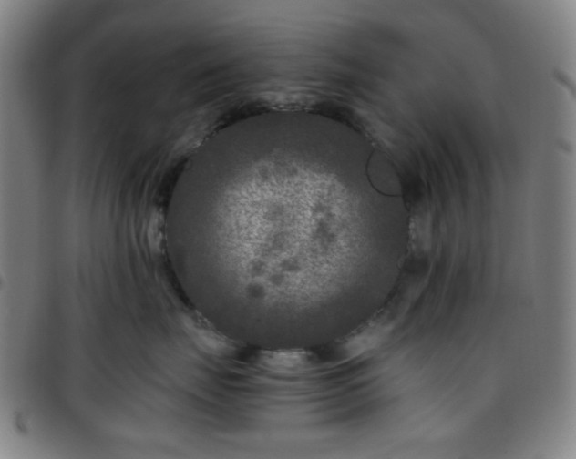 X0000097660671200803071533