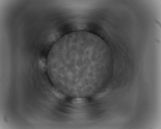 X0000097660672200803071533