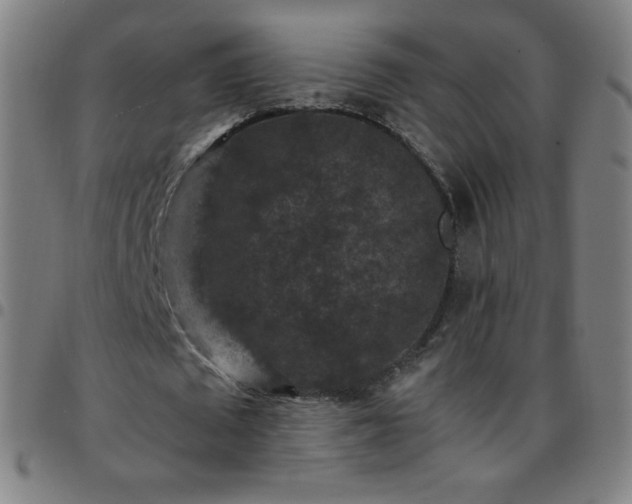 X0000097660673200803071533