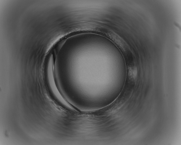 X0000097660676200803071533