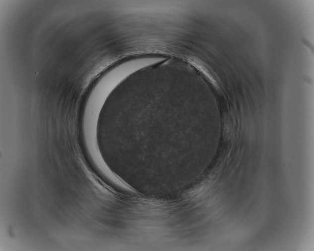X0000097660677200803071533