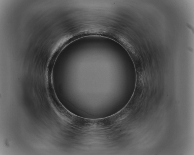 X0000097660678200803071533