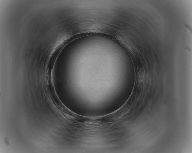 X0000097660680200803071533